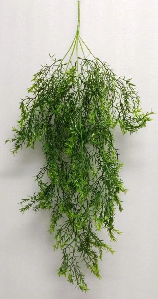 Sperigrass 1x3 Creeper x5 80cm